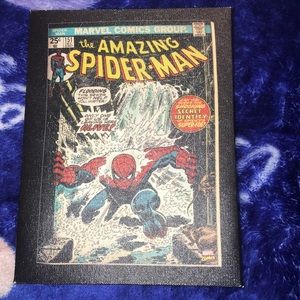 Spider-Man Wall Decor